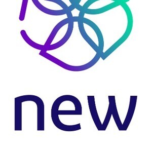 Team Page: New - Chicago (Network of Exelon Women)